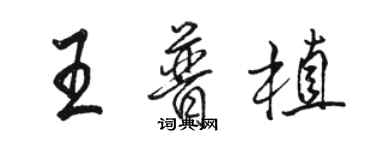 駱恆光王普植行書個性簽名怎么寫