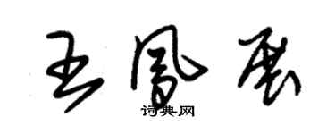 朱錫榮王鳳展草書個性簽名怎么寫