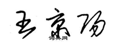 朱錫榮王京陽草書個性簽名怎么寫