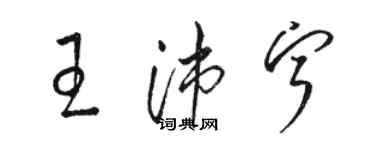 駱恆光王沛寧草書個性簽名怎么寫