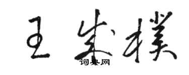 駱恆光王成朴草書個性簽名怎么寫