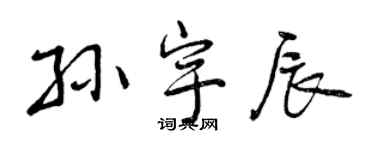 曾慶福孫宇辰行書個性簽名怎么寫