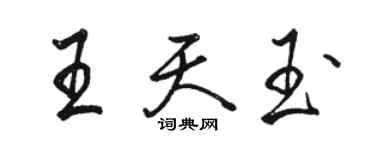 駱恆光王天玉行書個性簽名怎么寫