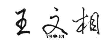 駱恆光王文相行書個性簽名怎么寫