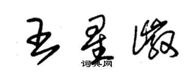 朱錫榮王星徽草書個性簽名怎么寫