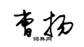 朱錫榮曹揚草書個性簽名怎么寫