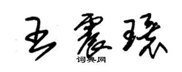 朱錫榮王震環草書個性簽名怎么寫