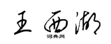 梁錦英王西湖草書個性簽名怎么寫