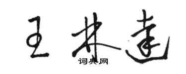 駱恆光王林達草書個性簽名怎么寫