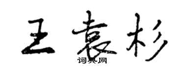 曾慶福王袁杉行書個性簽名怎么寫