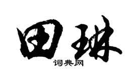 胡問遂田琳行書個性簽名怎么寫