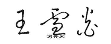 駱恆光王雪炎草書個性簽名怎么寫