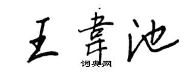 王正良王韋池行書個性簽名怎么寫