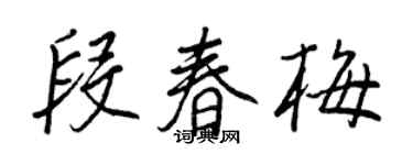 王正良段春梅行書個性簽名怎么寫