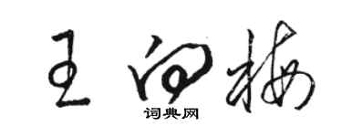 駱恆光王向梅草書個性簽名怎么寫