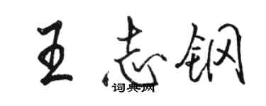 駱恆光王志鋼行書個性簽名怎么寫