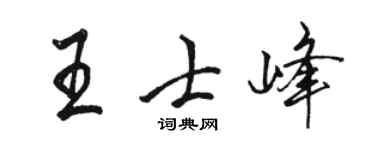 駱恆光王士峰行書個性簽名怎么寫