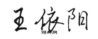 駱恆光王依陽行書個性簽名怎么寫