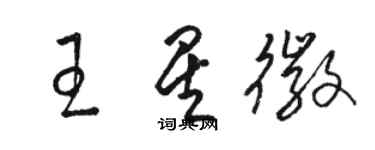 駱恆光王星徽草書個性簽名怎么寫