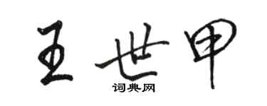 駱恆光王世甲行書個性簽名怎么寫