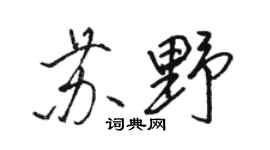 駱恆光蘇野行書個性簽名怎么寫