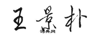 駱恆光王景朴行書個性簽名怎么寫