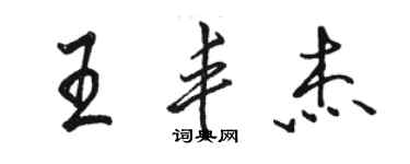 駱恆光王豐傑行書個性簽名怎么寫