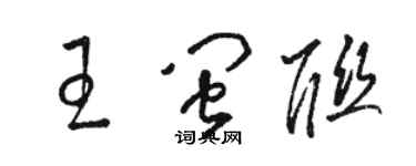 駱恆光王閩聯草書個性簽名怎么寫