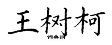 丁謙王樹柯楷書個性簽名怎么寫