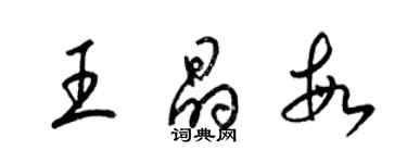 梁錦英王晶敏草書個性簽名怎么寫