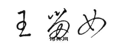 駱恆光王留女草書個性簽名怎么寫