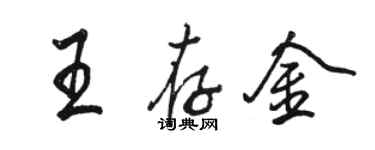 駱恆光王存金行書個性簽名怎么寫