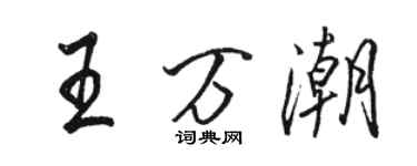 駱恆光王萬潮行書個性簽名怎么寫
