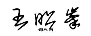 朱錫榮王昭峰草書個性簽名怎么寫