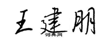 王正良王建朋行書個性簽名怎么寫