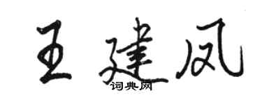 駱恆光王建鳳行書個性簽名怎么寫