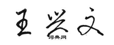 駱恆光王興文行書個性簽名怎么寫