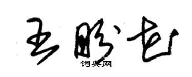 朱錫榮王盼花草書個性簽名怎么寫