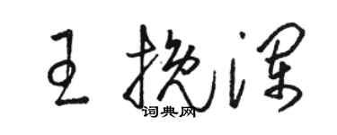 駱恆光王挽瀾草書個性簽名怎么寫