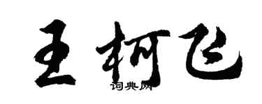 胡問遂王柯飛行書個性簽名怎么寫