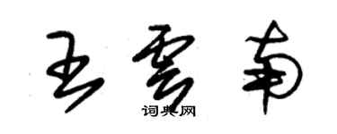 朱錫榮王雲南草書個性簽名怎么寫