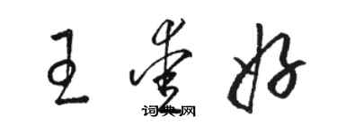 駱恆光王愛好草書個性簽名怎么寫