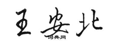 駱恆光王安北行書個性簽名怎么寫