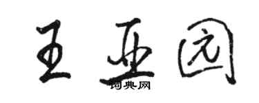 駱恆光王亞園行書個性簽名怎么寫