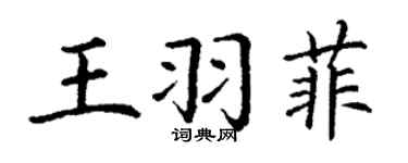 丁謙王羽菲楷書個性簽名怎么寫
