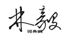 駱恆光林毅草書個性簽名怎么寫