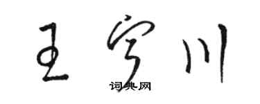 駱恆光王寧川草書個性簽名怎么寫