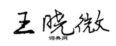 曾慶福王曉微行書個性簽名怎么寫
