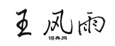 駱恆光王風雨行書個性簽名怎么寫