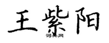 丁謙王紫陽楷書個性簽名怎么寫